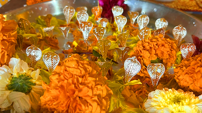 kalsarp puja trimabakeshwar 